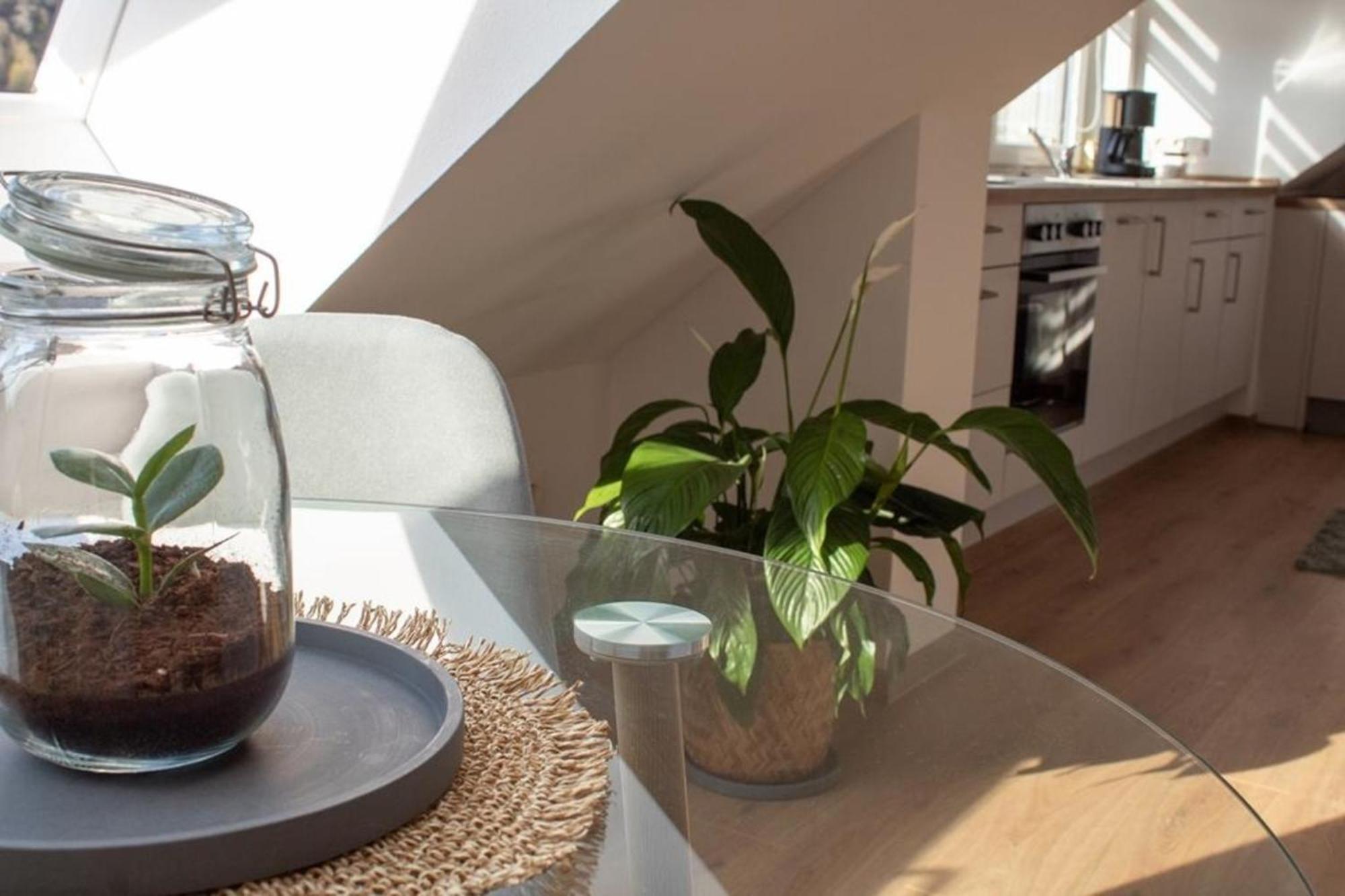 Ferienwohnung Kurz "Panoramablick" Wertheim Esterno foto